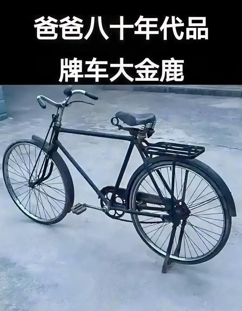 消失的六大骑行车品牌1.白山牌——沈阳自行车厂，1936年建厂，1952年启