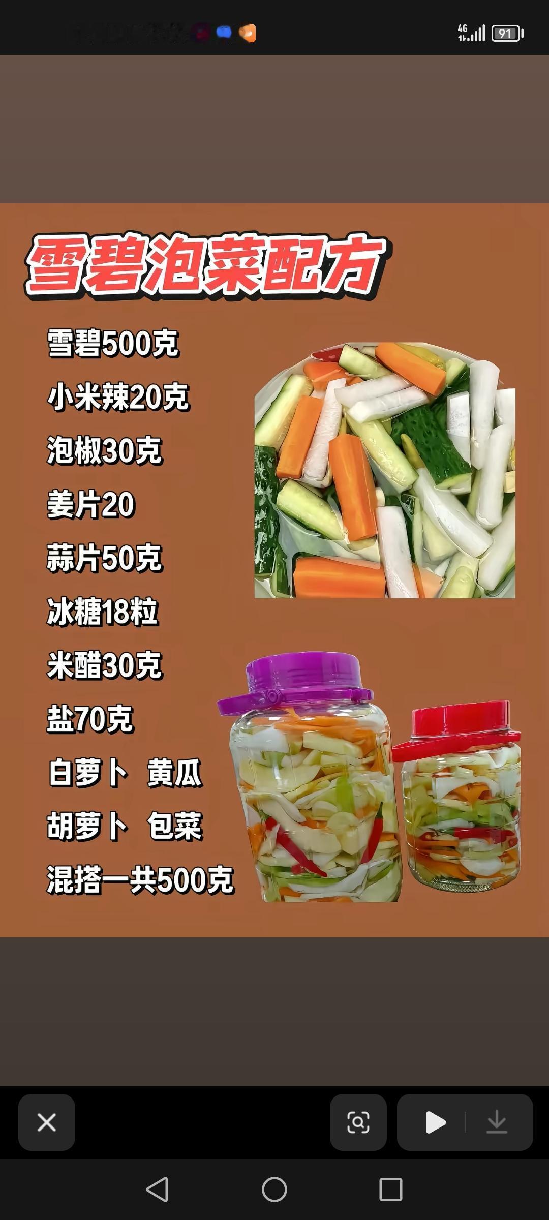 雪碧泡菜配方，烤鱼腌制配方，包子发面配方