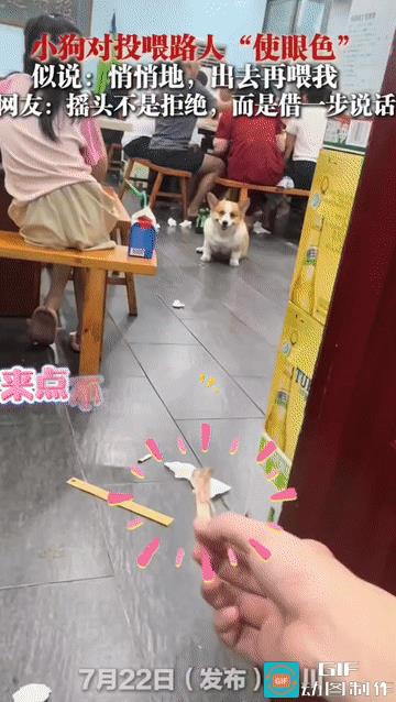 “这狗子也太精了！”四川，小伙在饭店吃饭，见到一只狗狗蹲在旁边，便拿出一根鸡骨头
