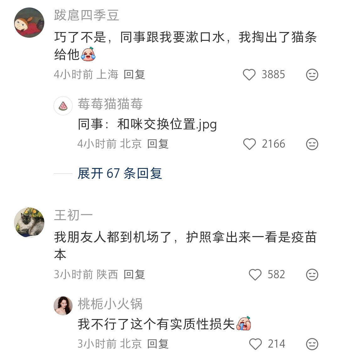 小猫：面刺寡人者👋