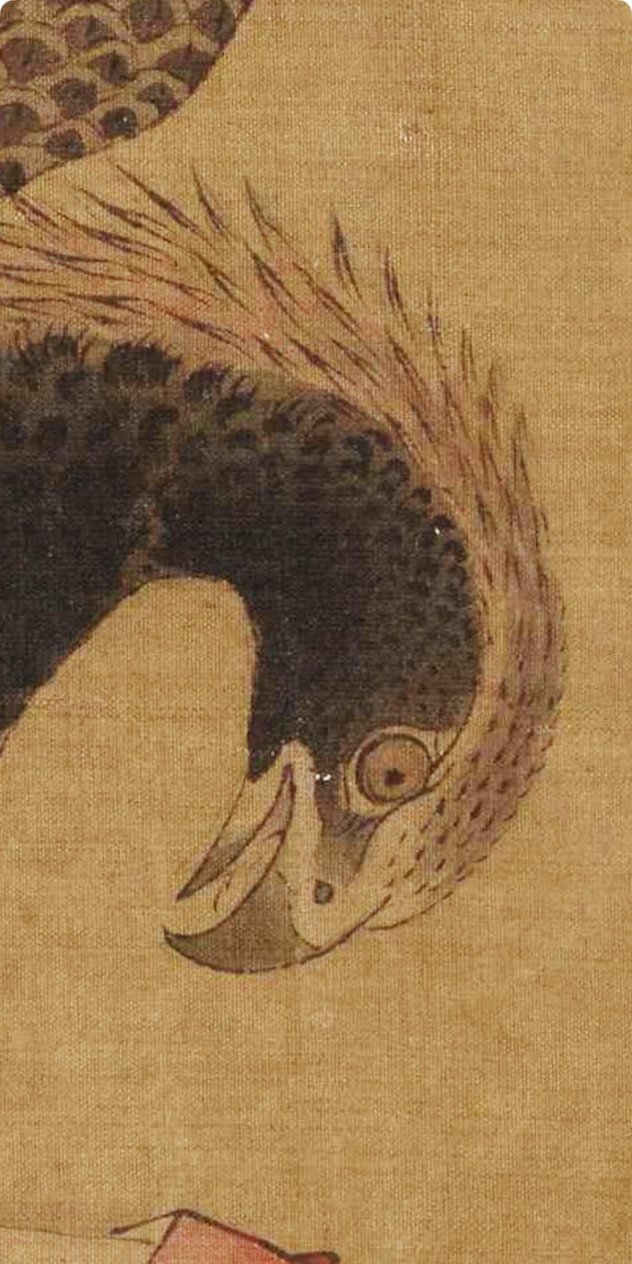 二郎神“神鹰”（别称：皂鹰、铁嘴神鹰、扑天鹰）是二郎神麾下除哮天犬外的另一只重要