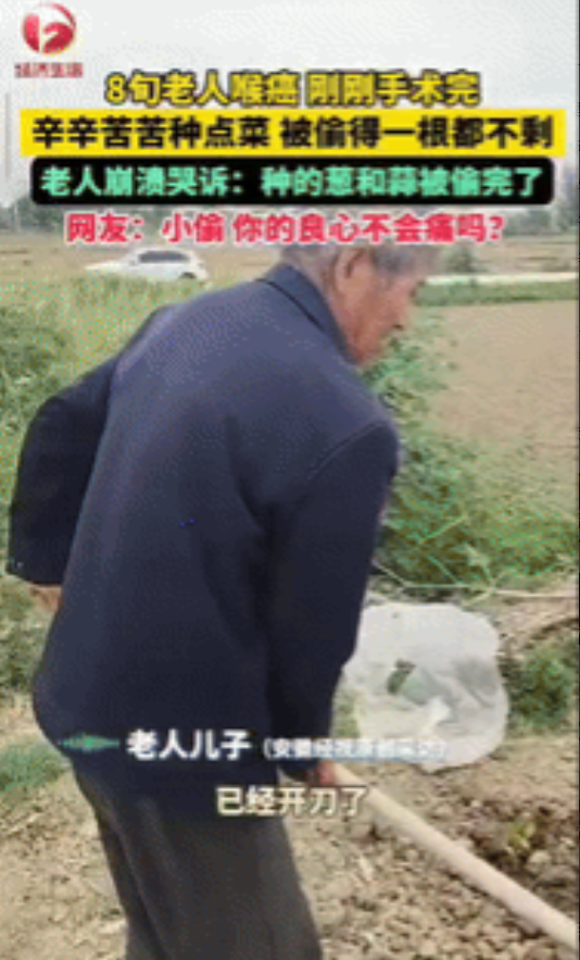 “缺德冒烟了！”安徽凤阳，一8旬老人做完喉癌手术没多久，就发现自己辛辛苦苦种地菜