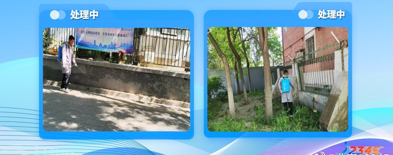 家住丰台区和义街道北二社区的市民反映，从和义学校外墙到小区西南门的矮墙外侧有很多
