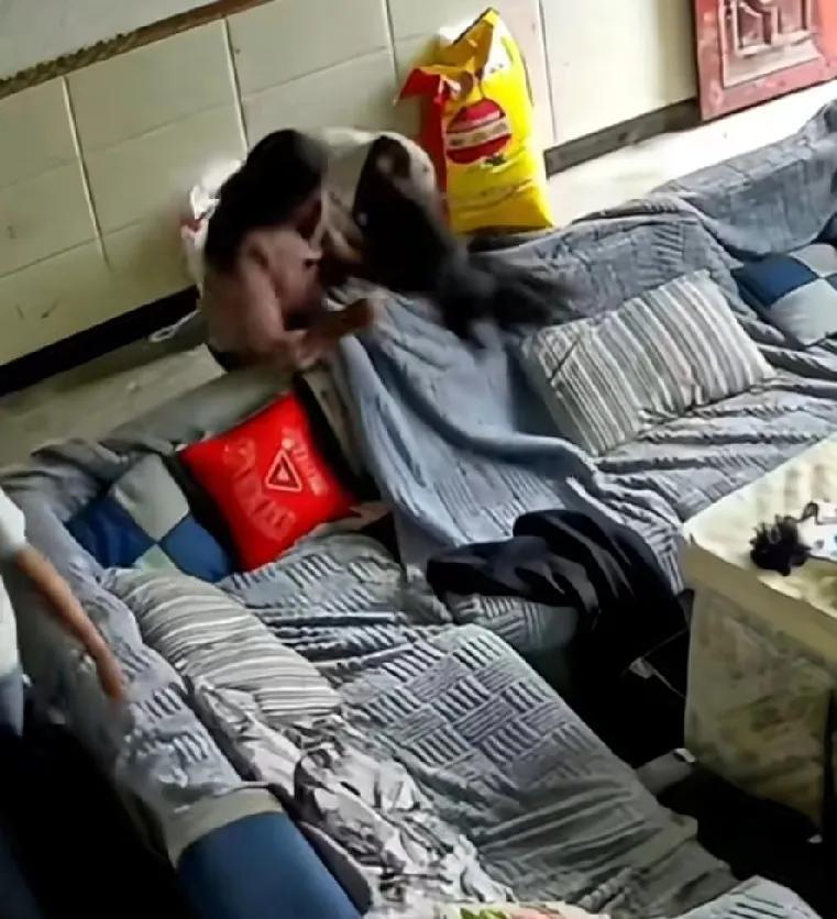 奶奶喝醉酒“耍酒疯”扯着孙女的头发猛砸向沙发，孙子上前拉架，爷爷拄着拐棍上前帮忙