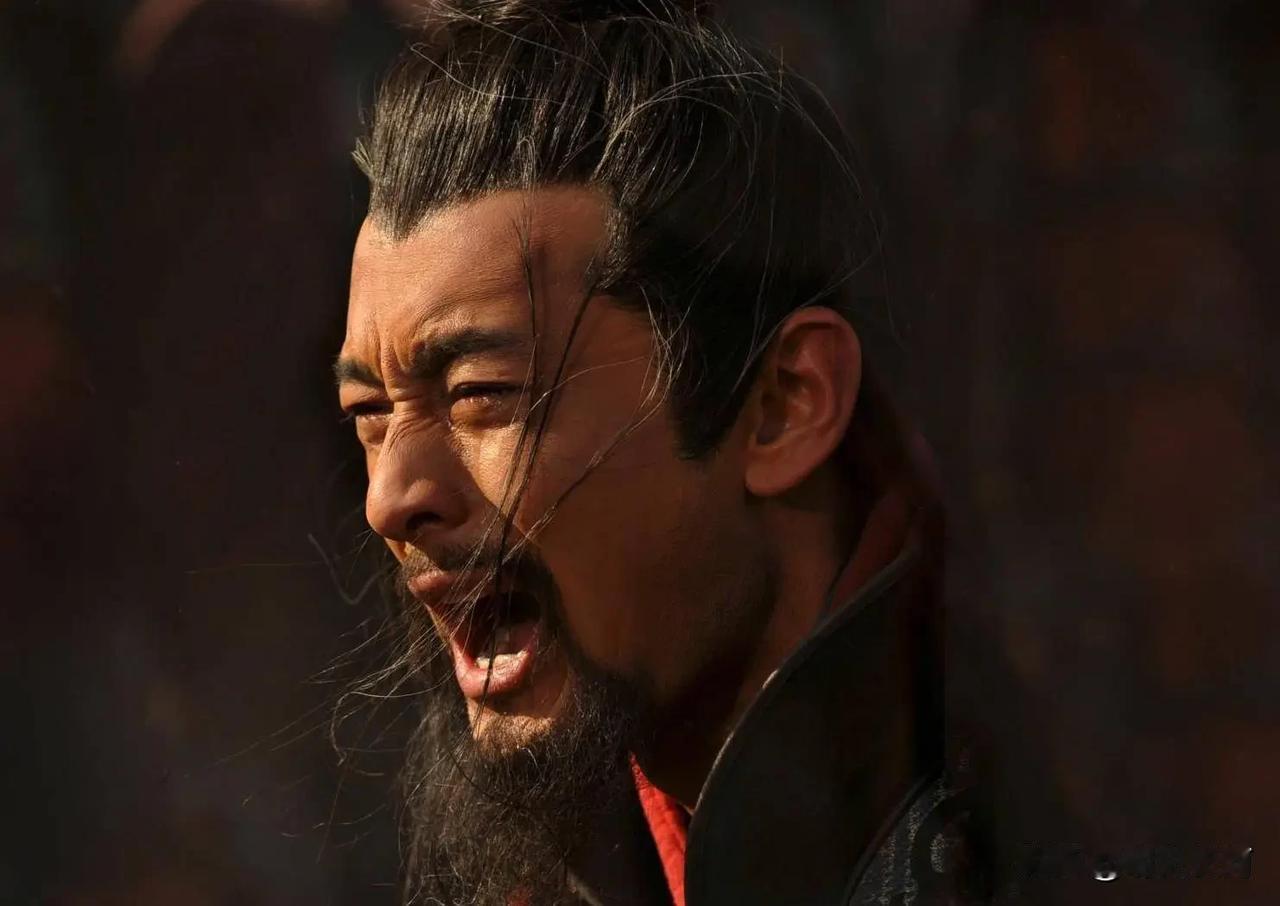 我举双手赞成！秦桧不过是台前走狗，宋高宗才是害死岳飞的罪魁祸首！一代忠良精