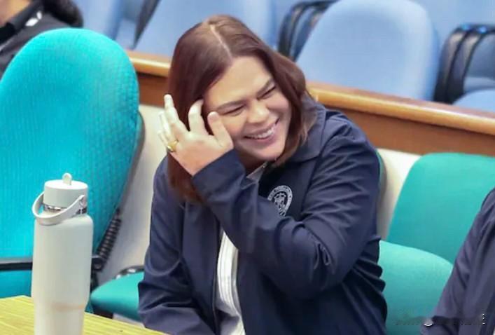 菲律宾众议院副议长罗纳尔多·普诺周二坚称，2026年国家预算与一些团体计划在明年