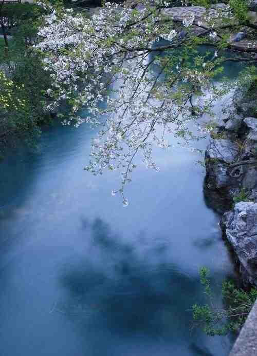 西湖美景三月天，春雨如酒柳如烟。​​​