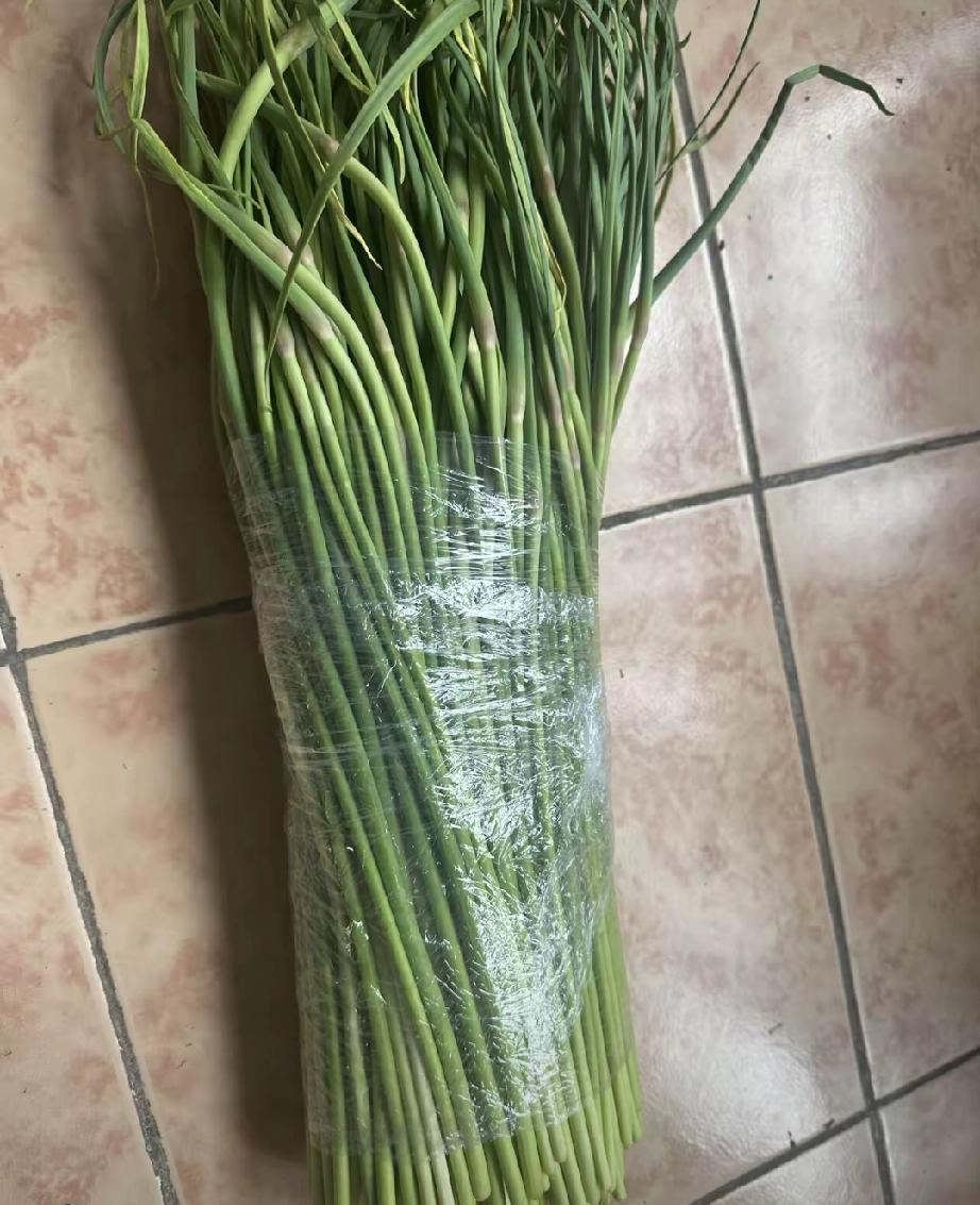 跟风买了河南的蒜苗，因为看了视频我在上海买八块一斤的蒜苗没法吃了[捂脸哭]发货地