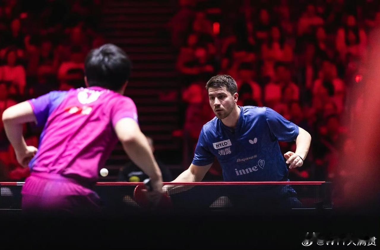 有谁看到：张本智和输球后，3个动作有点可怜，又让人觉得“可叹”呢？11-8