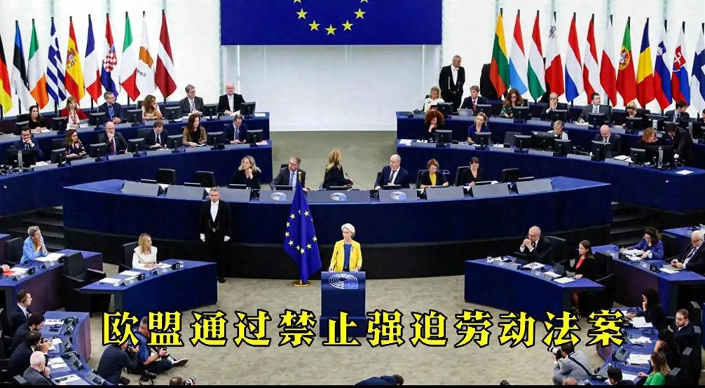 中国该怎么办？欧盟这回是动真格了。2027年12月14日开始，不管什么商品，只要