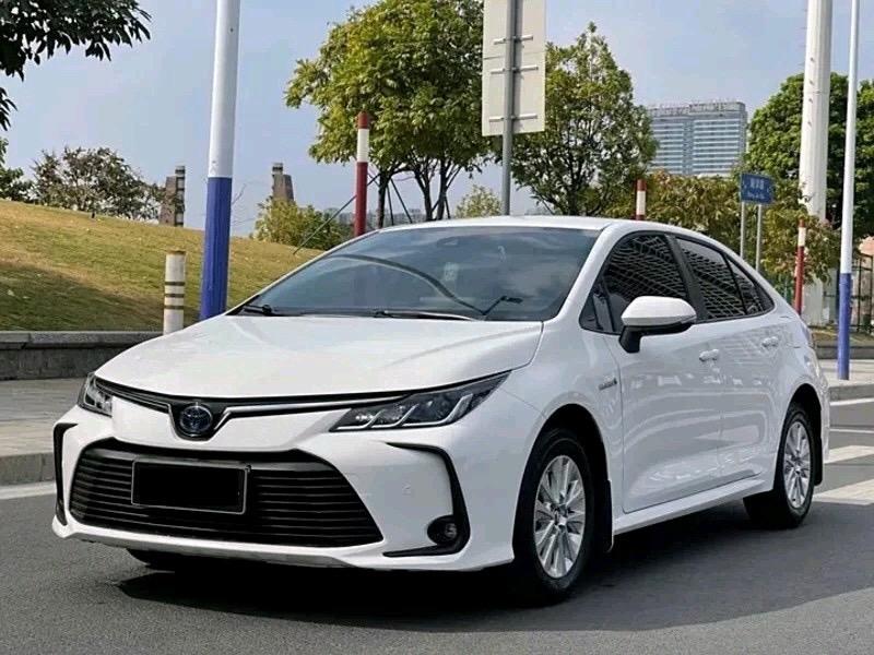 为省钱而买车，真心建议你就买油车，一月撑顶也就1000块钱。大多数人打工