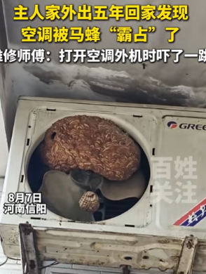 太可怕了！”8月7日，河南信阳，一男子外出5年没回过家，到家后发现空调不好用了，