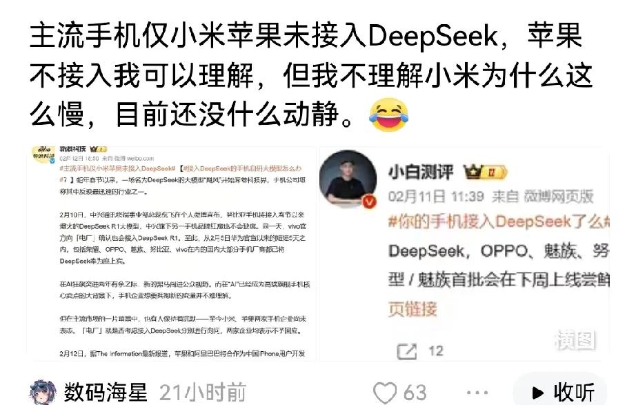 这就是为什么要支持华为的原因了！苹果接入阿里，华为荣耀VIVO接入DeepS