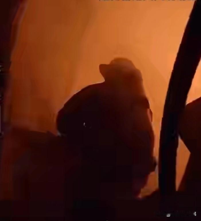 香港老人因为听儿子话没有逃生，生命最后一刻手握身份证，怕家人找不到自己。这位