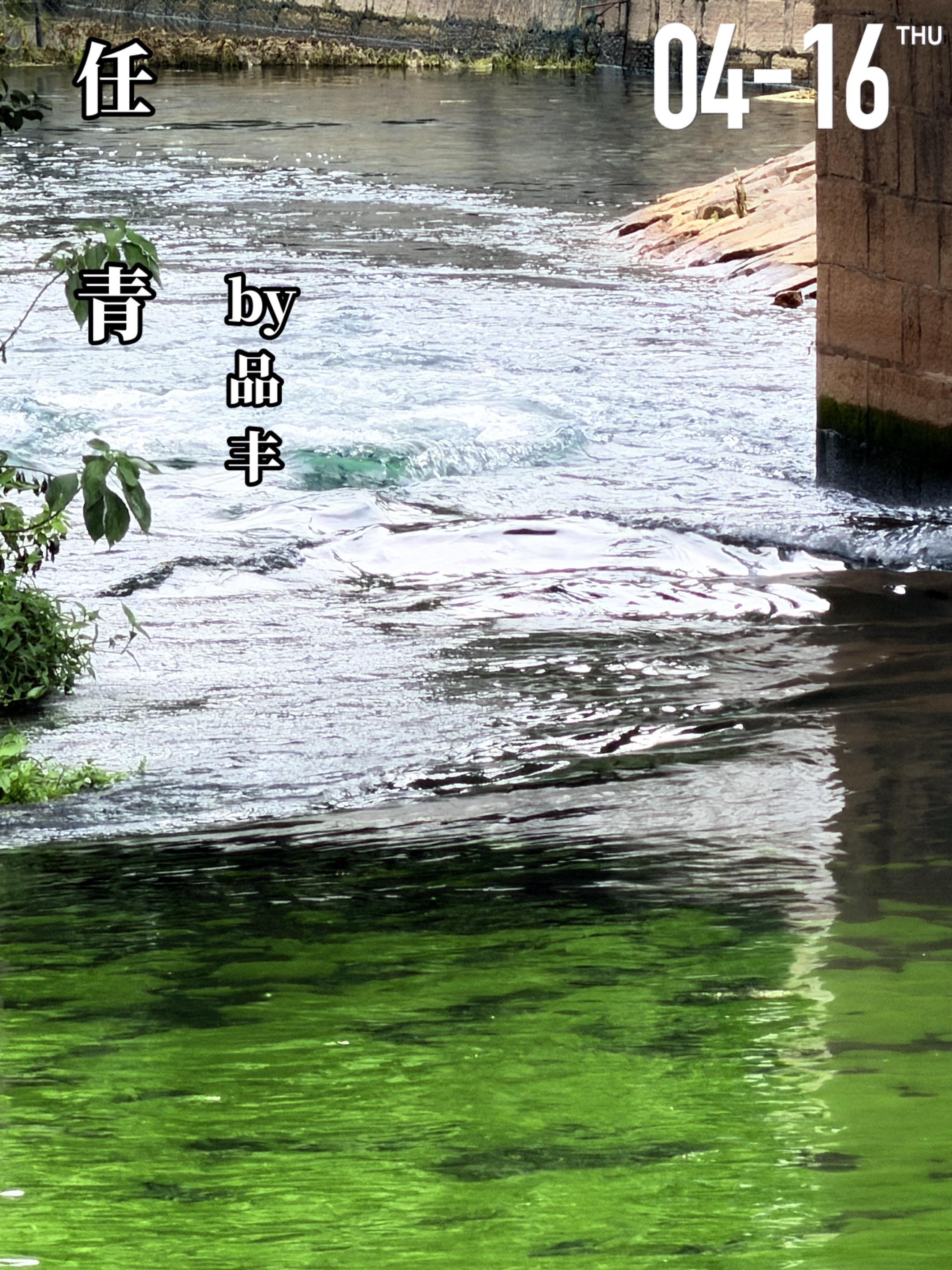 《任青》by品丰。任青（女主）父亲去世后，留下她和一个生病且行动不便的...