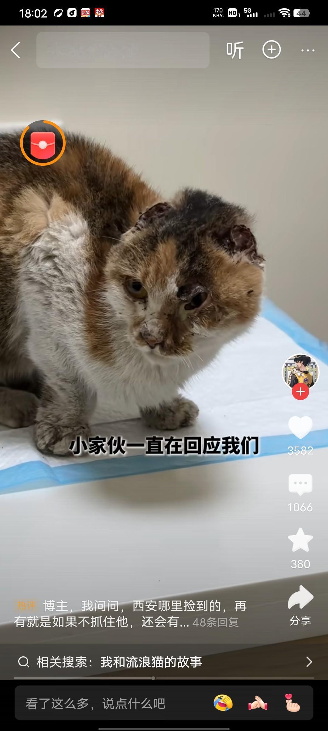 怎么能有人如此变态？邱女士昨天晚上下楼扔垃圾的时候，听见车底下有猫叫声，当她看