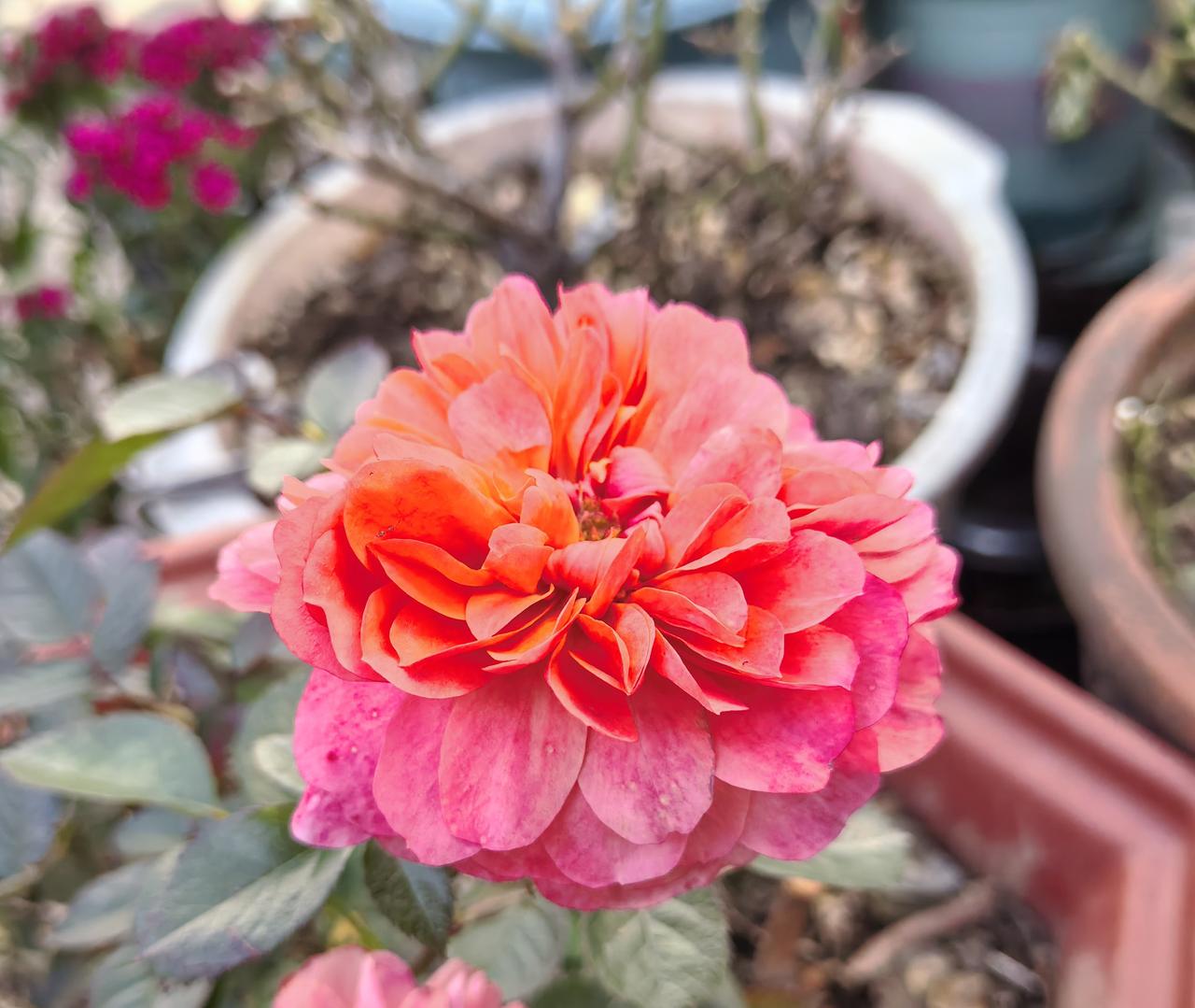 有人专门杜撰文章，反对二胎随母姓。说超级有钱的公婆，找了穷人家独生女做媳妇。