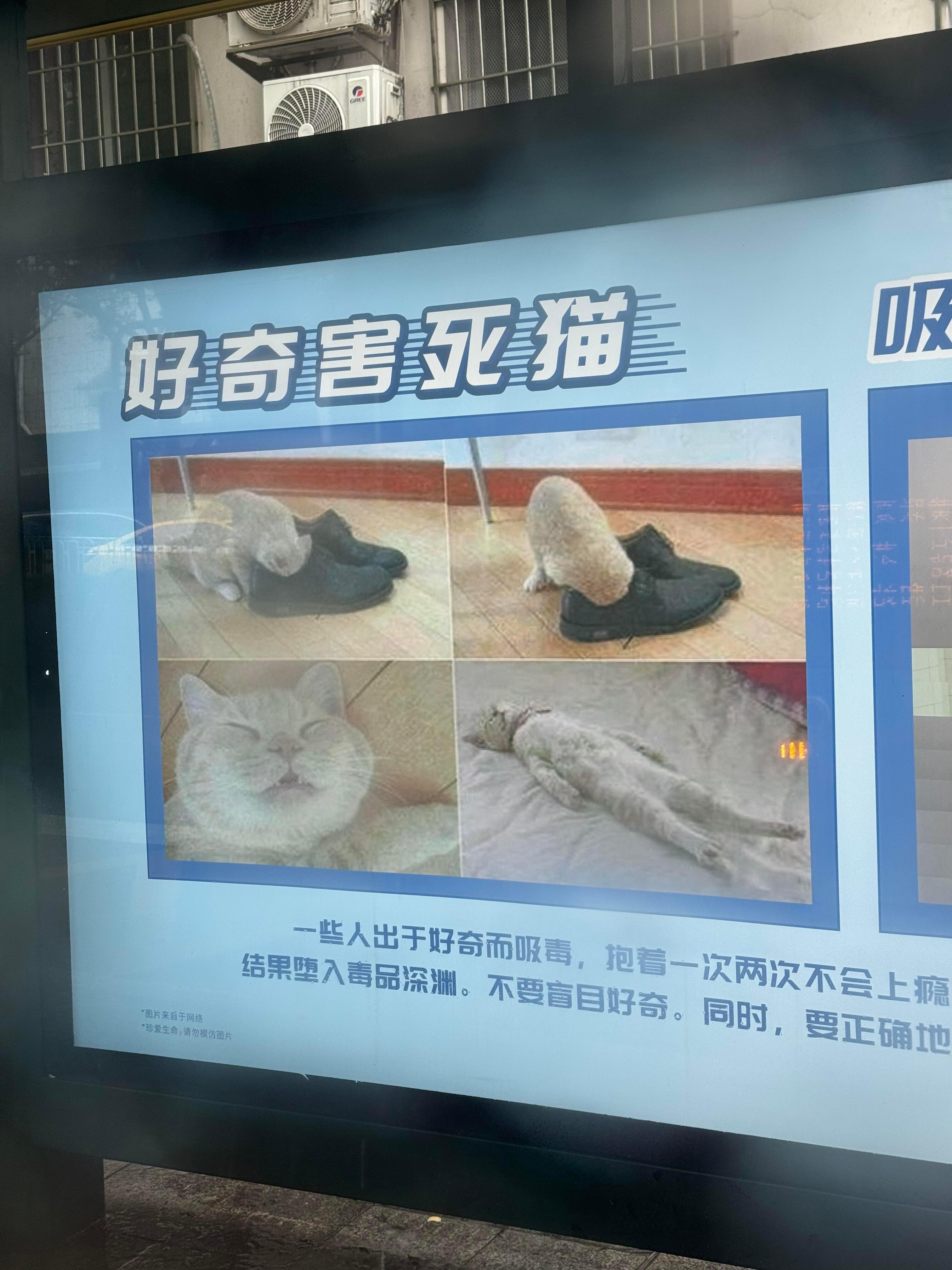 这一定是00后运营做的禁毒广告吧！哈哈哈哈哈哈哈哈​​​