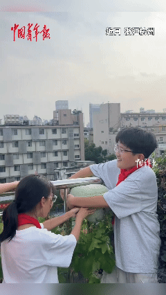 "万万没想到！"杭州，一小学生发现楼上栏杆卡了不明物体，爬上去一看，竟然是冬瓜