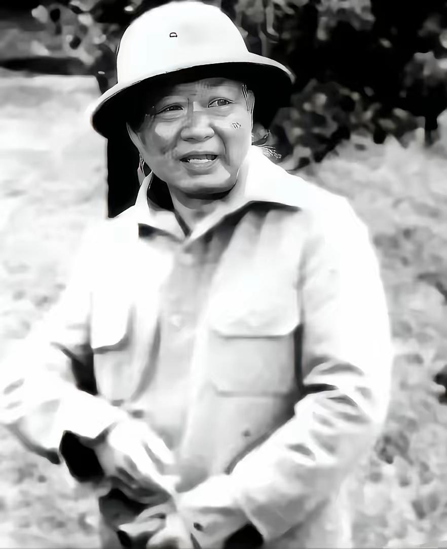 1964年，段希文刚把枪交给泰国军方，当晚就有一伙人想趁火打劫。谁知段希文早