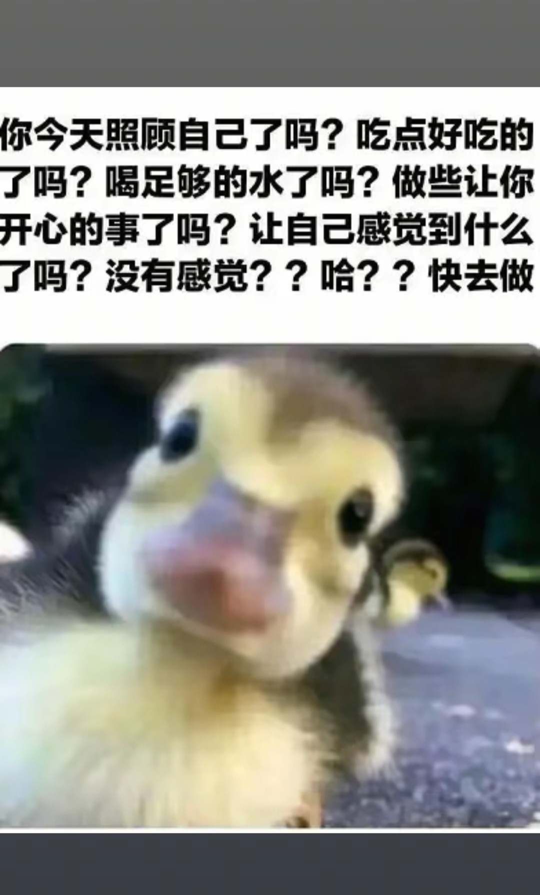 重复同样的打卡问候