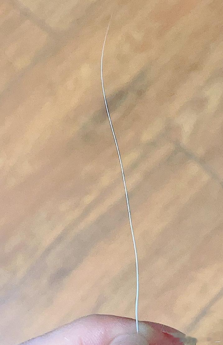 刷到好多人找小猫要胡子都要到了这是什么玄学啊😳真的第一次捡到这么显眼的胡子😳
