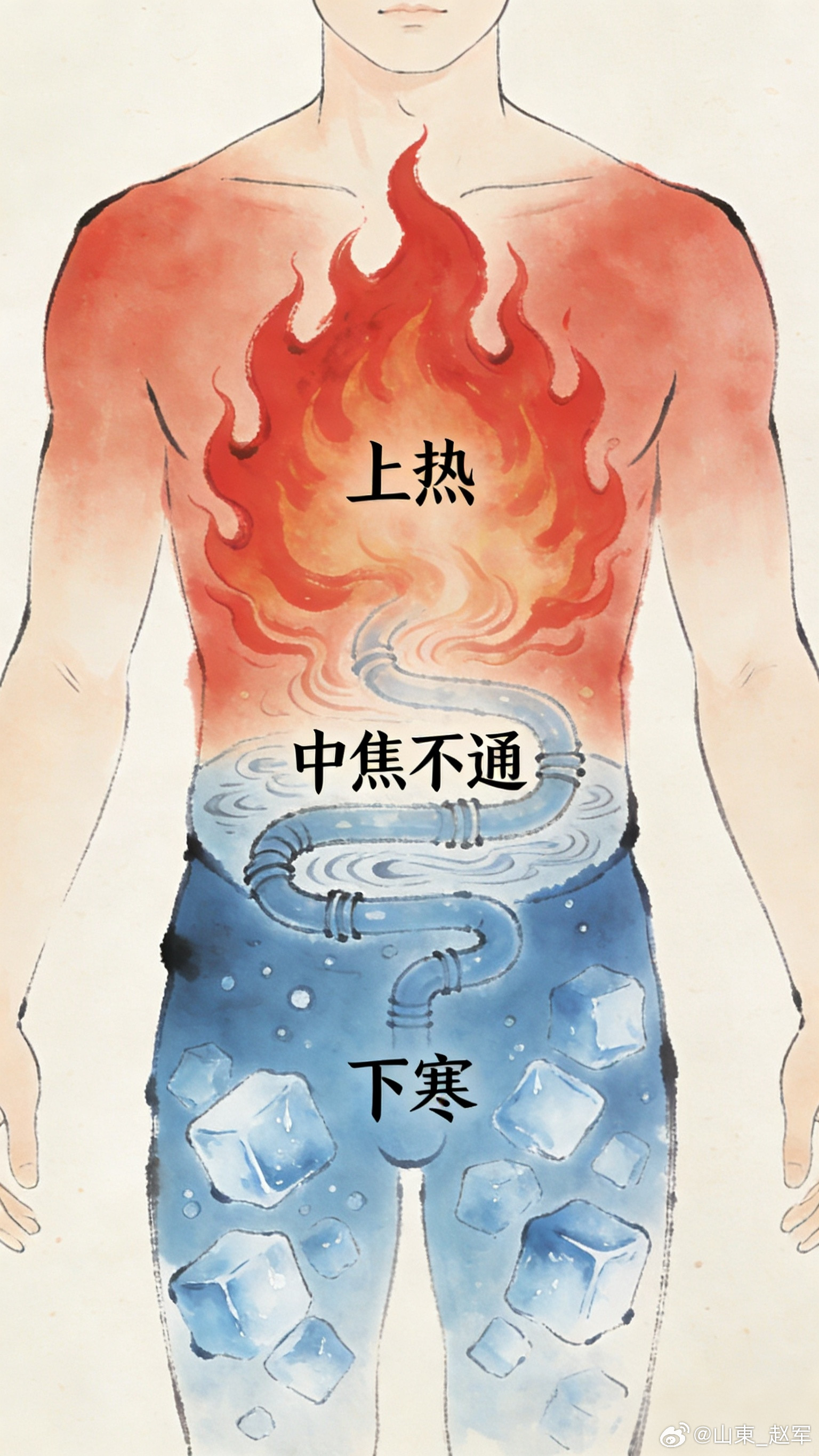 ️开篇：便秘的烦恼，不止是“排不出”生活里，很多人都被便秘缠上了，反反复复，吃药