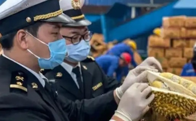 赚中国人钱还毒害中国人？泰国榴莲这事越挖越吓人，很多中国人都爱吃，可谁能想到，这