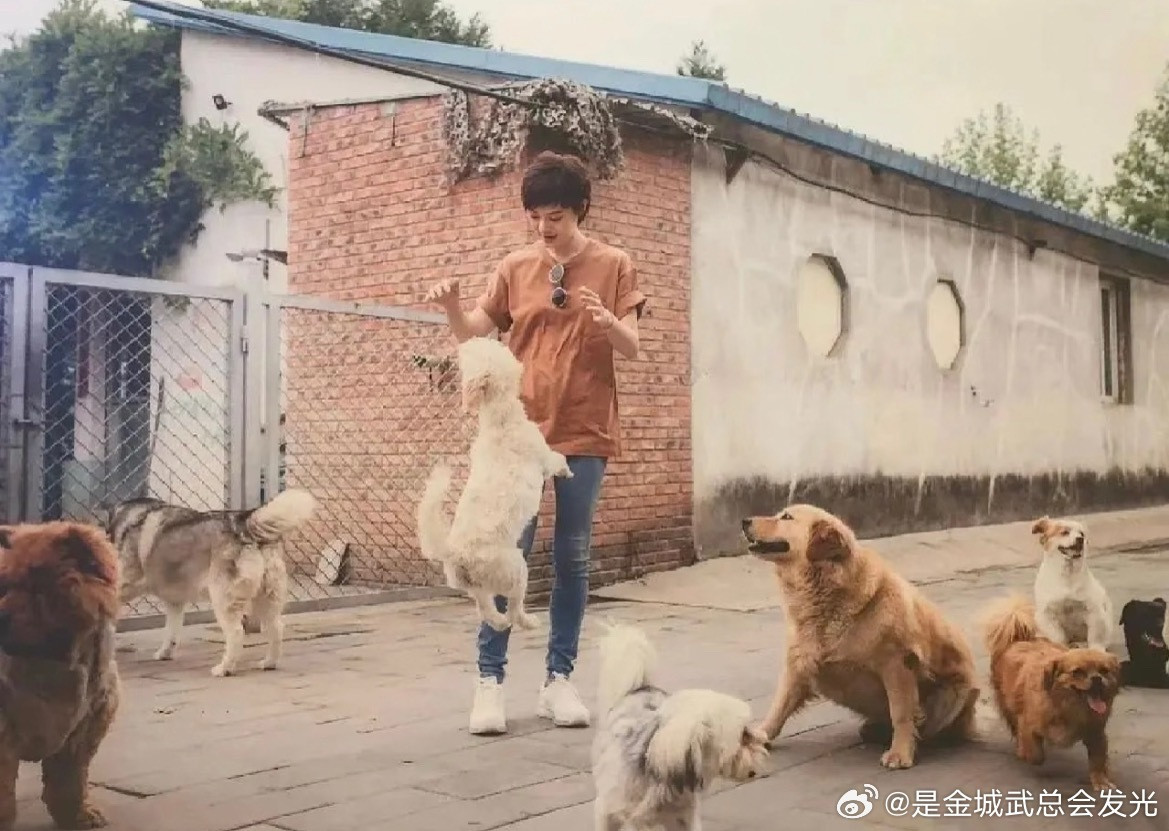 孙俪在菜市场捡了一只狗人美心善的娘娘，孙俪救助过好多好多只流浪狗猫和流浪狗了，她