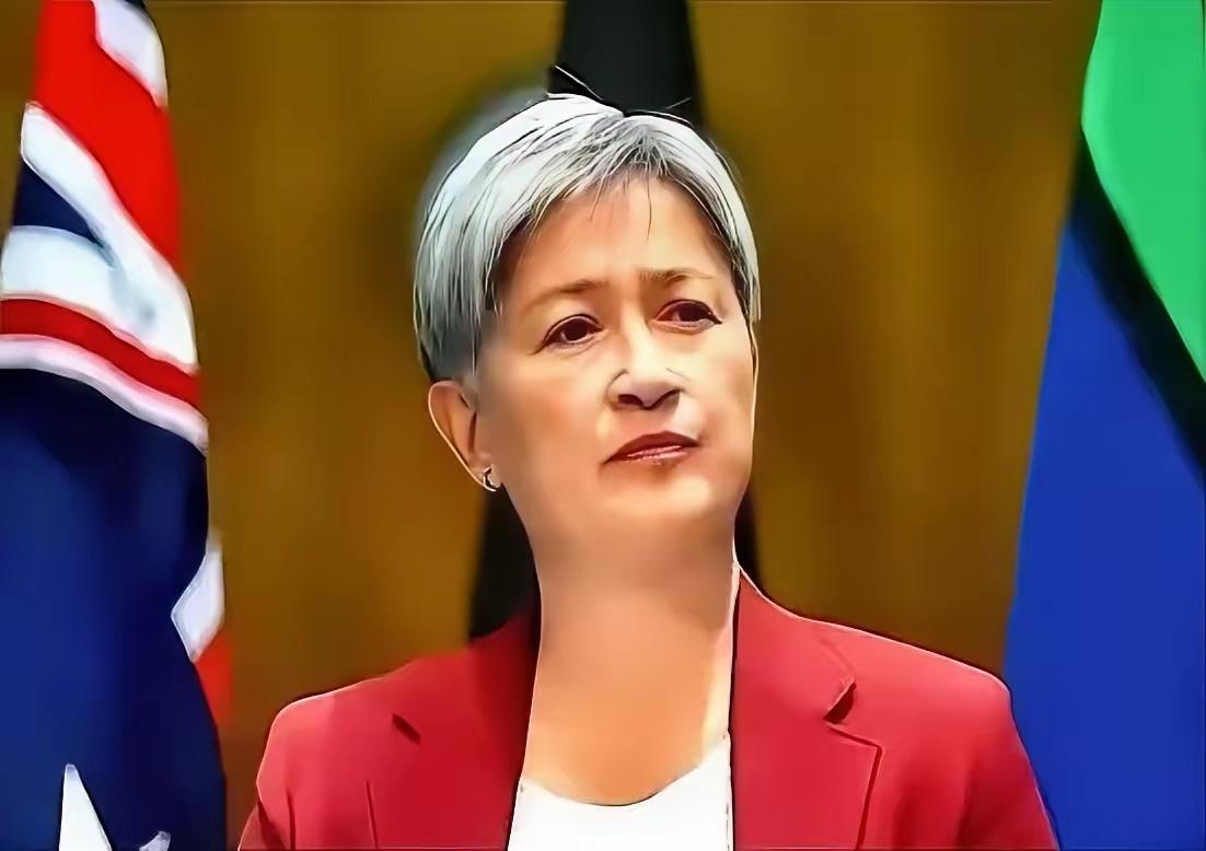 澳大利亚外长被彭博社主持人一句话怼得支支吾吾了十几秒，网友们直呼精彩！7月2