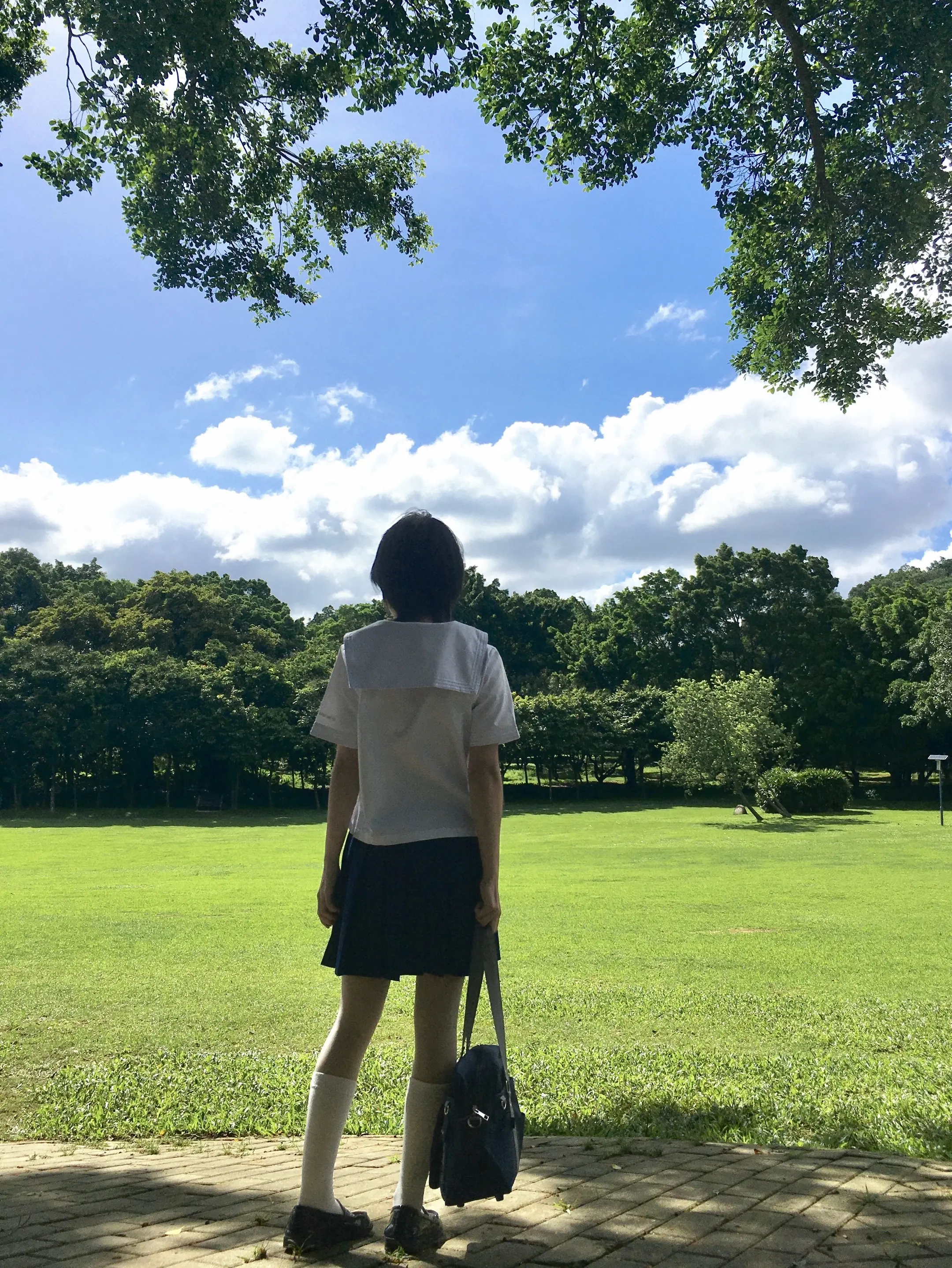 我的夏天好像动漫。