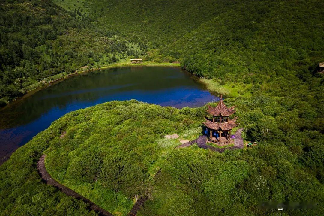 外出旅游最大的花销是哪一块？