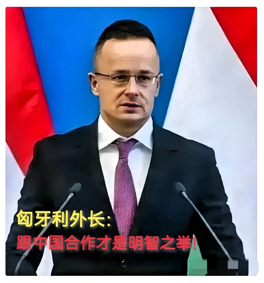 现在全欧洲最后悔的就是德国了吧！不是因为中国，也不是因为美国而是因为匈牙利