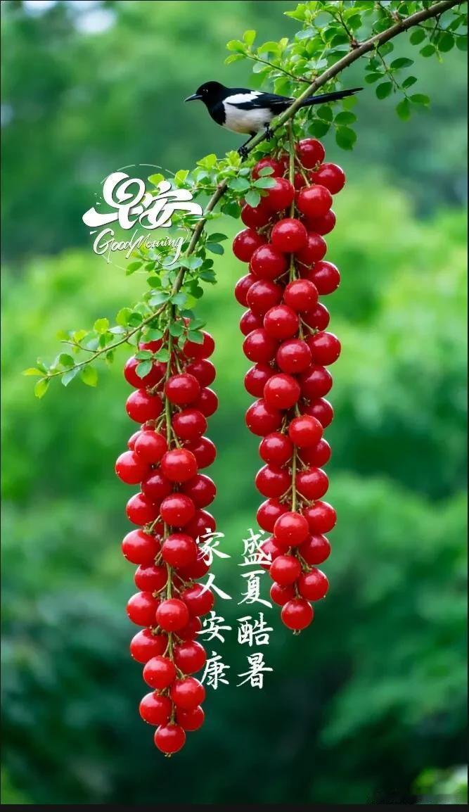 新的一天开启，愿烦恼消散，欢喜常在，早安。