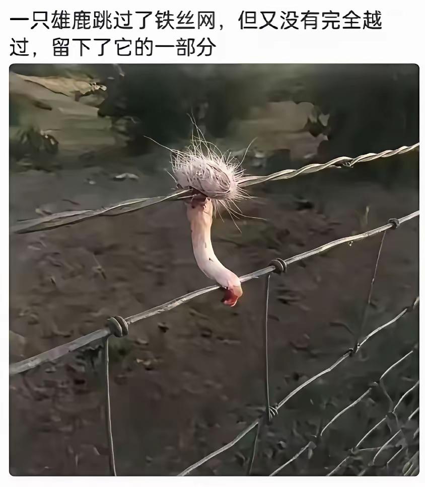 赶紧泡酒，现在AI太不像话了