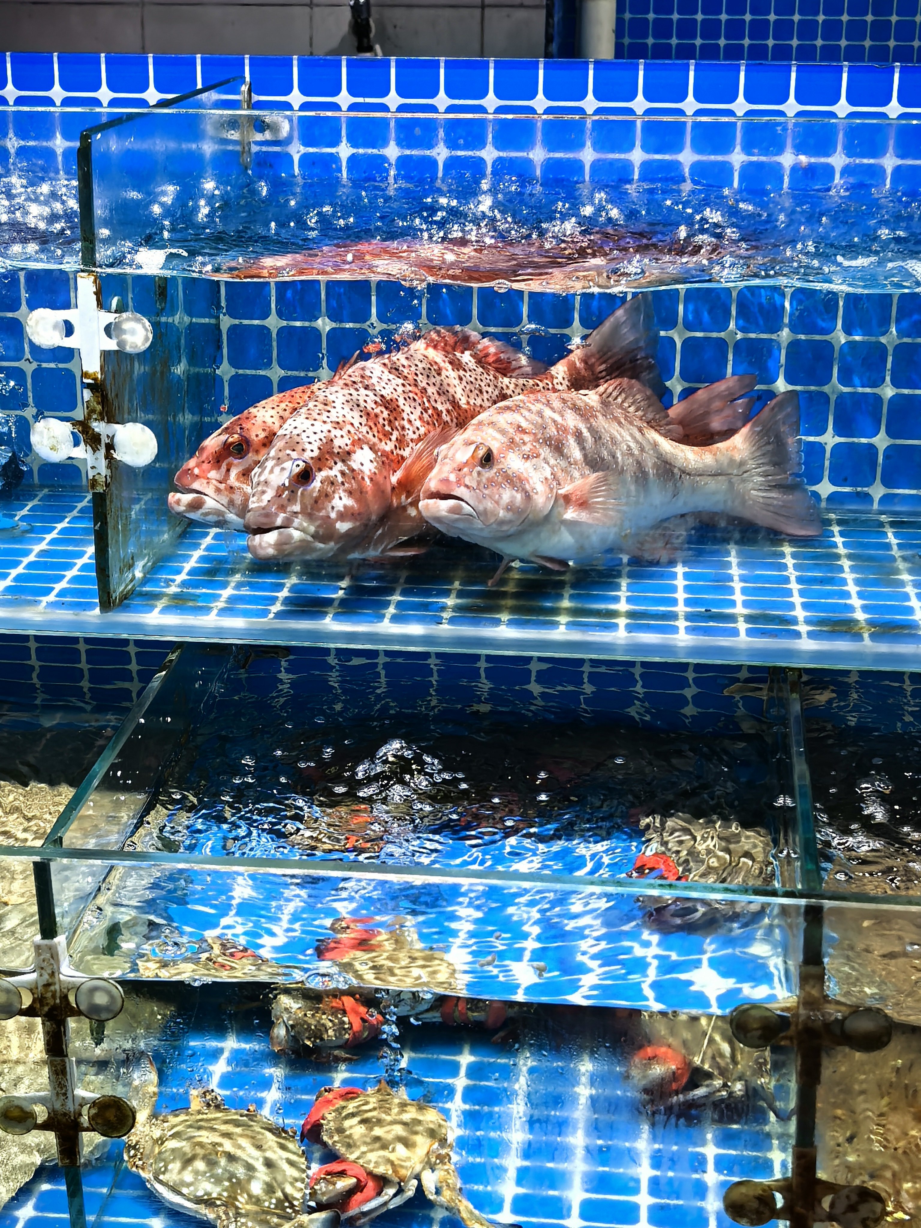 新周，太阳出来了☀️