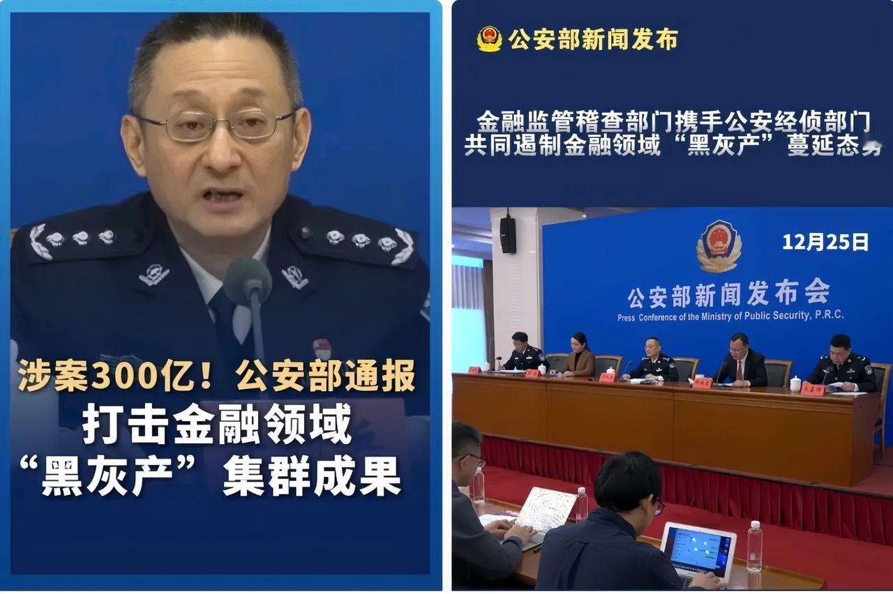 这一刀终究落下，狠狠砍在大动脉上，12月25日公安部那场会，看得人脊背发凉，又