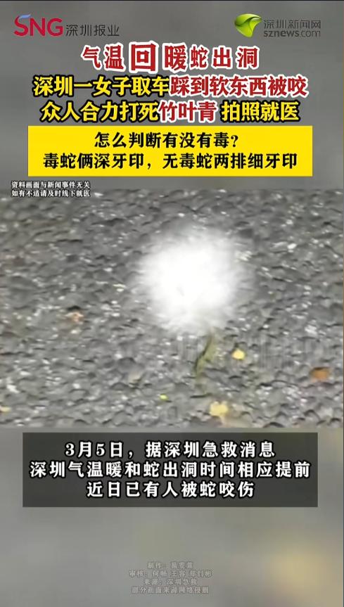 “太吓人了！”近日，广东深圳，一女子在取电动车时踩到一个软软的东西，随后感到一阵