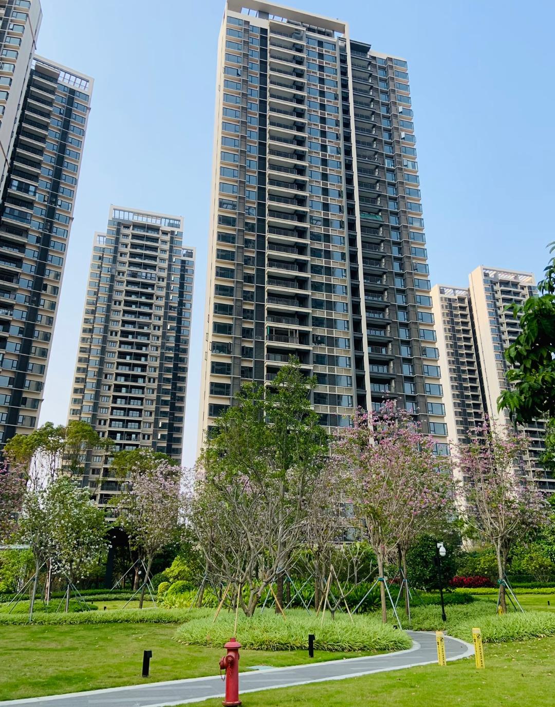 结婚半年掏10万婚前积蓄买房，过户时才知道房本没自己名字？这事儿换谁不膈应！