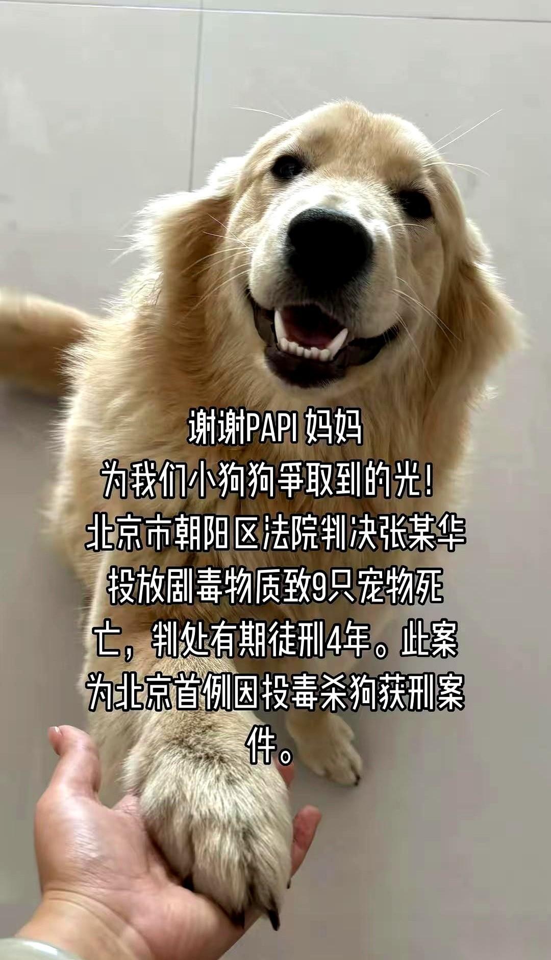 她终于赢了。为那个再也回不来的孩子，讨回了最后一个说法。可我看着屏幕，心里堵