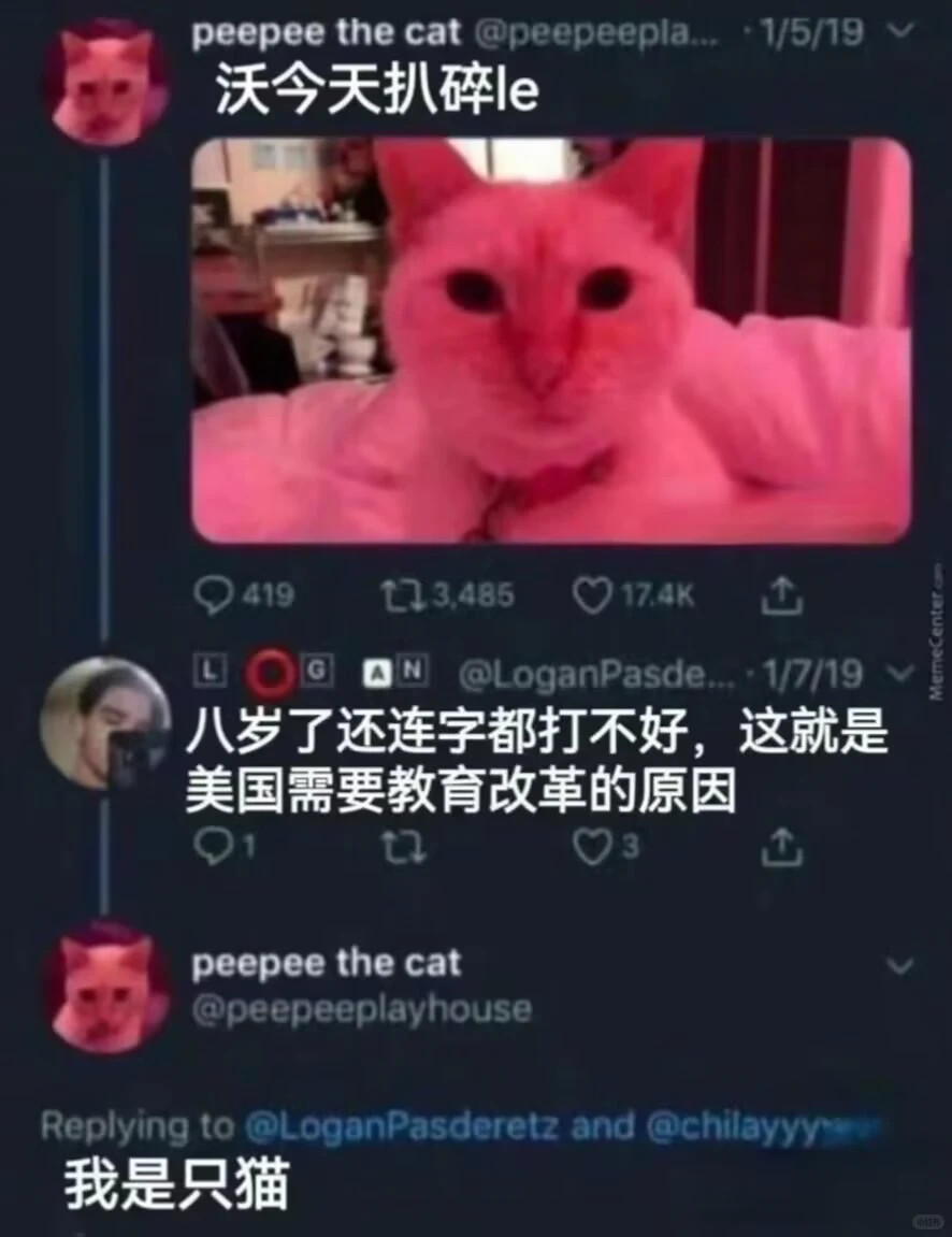 别压力小猫