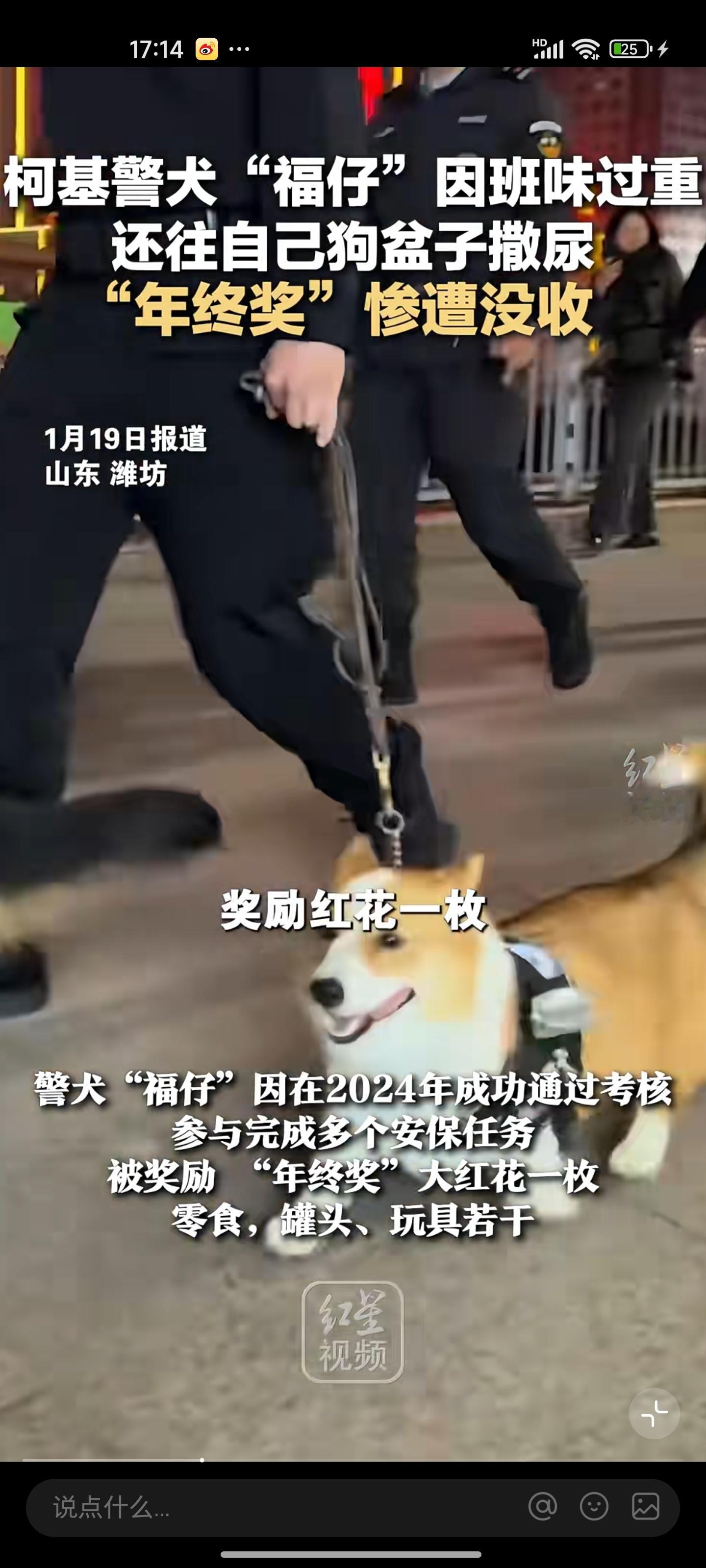 警犬福仔登门道歉送烤肠福仔今年的年终奖又别想要了[捂脸哭]​​​