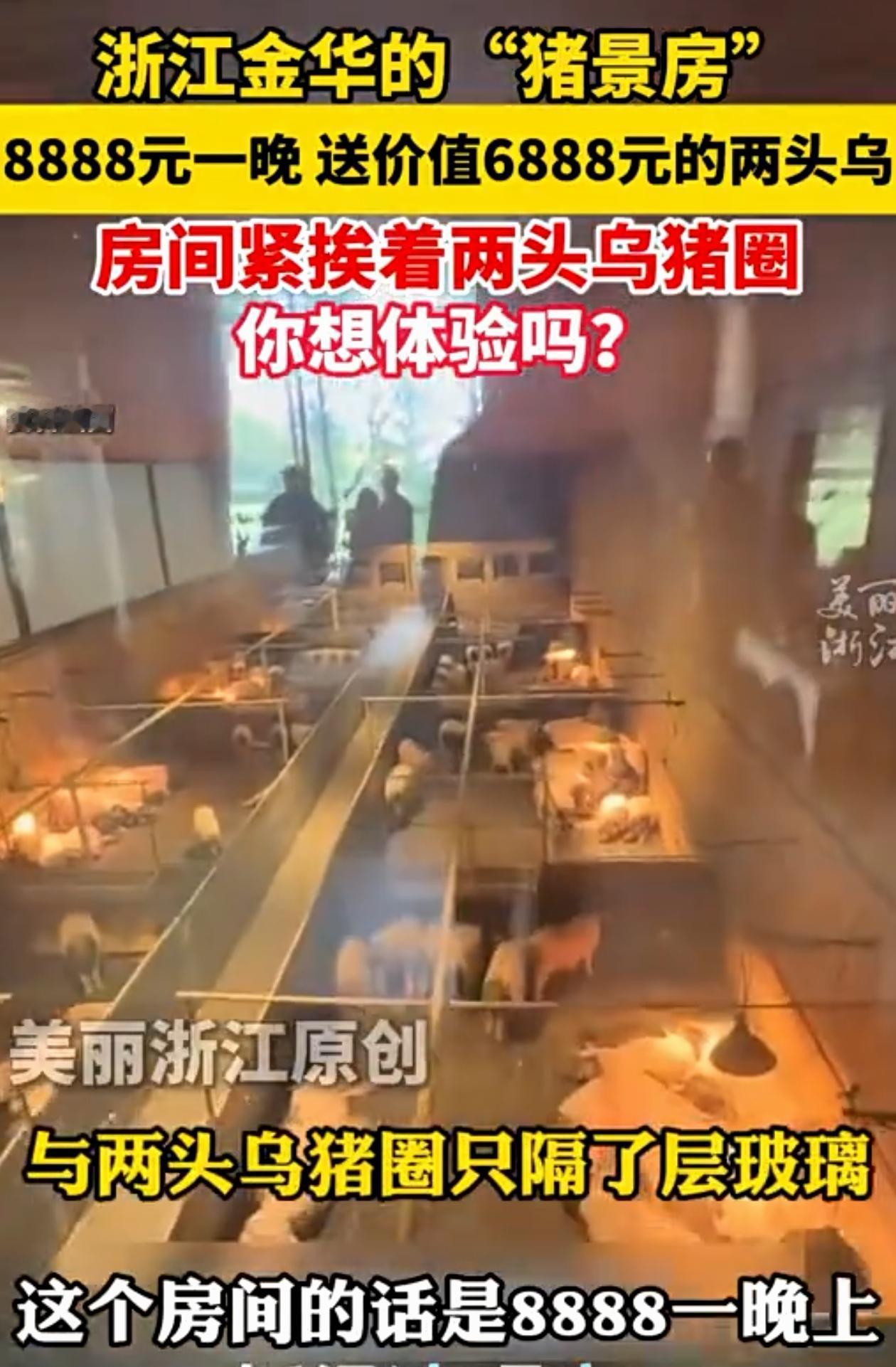 “这是猪卖不出去了吧？”浙江金华，游客去酒店歇脚，一问住一晚要8888，游客纳闷