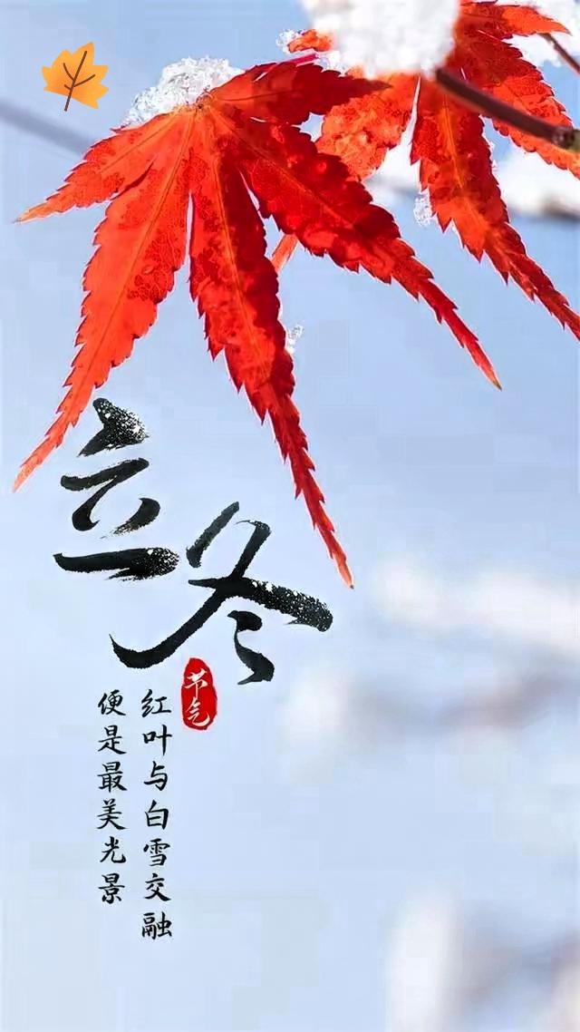 今日立冬！立冬准确时间是：12点03分48秒，立冬时间赶到中午，按老辈人说的“立