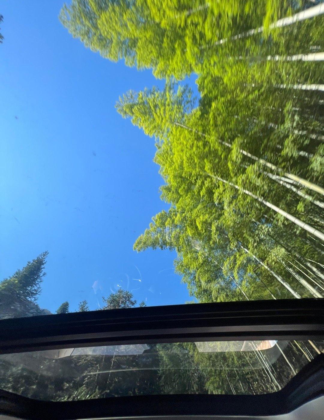 追风行者塔川秋色队出发前往被誉为“中国三大秋色之一”的塔川景区，欣赏深秋时节在古