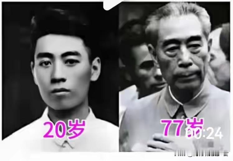 从青春少年为中华崛起而读书，到鬓发苍苍老人一生为国为民服务，我们的好总理[玫瑰