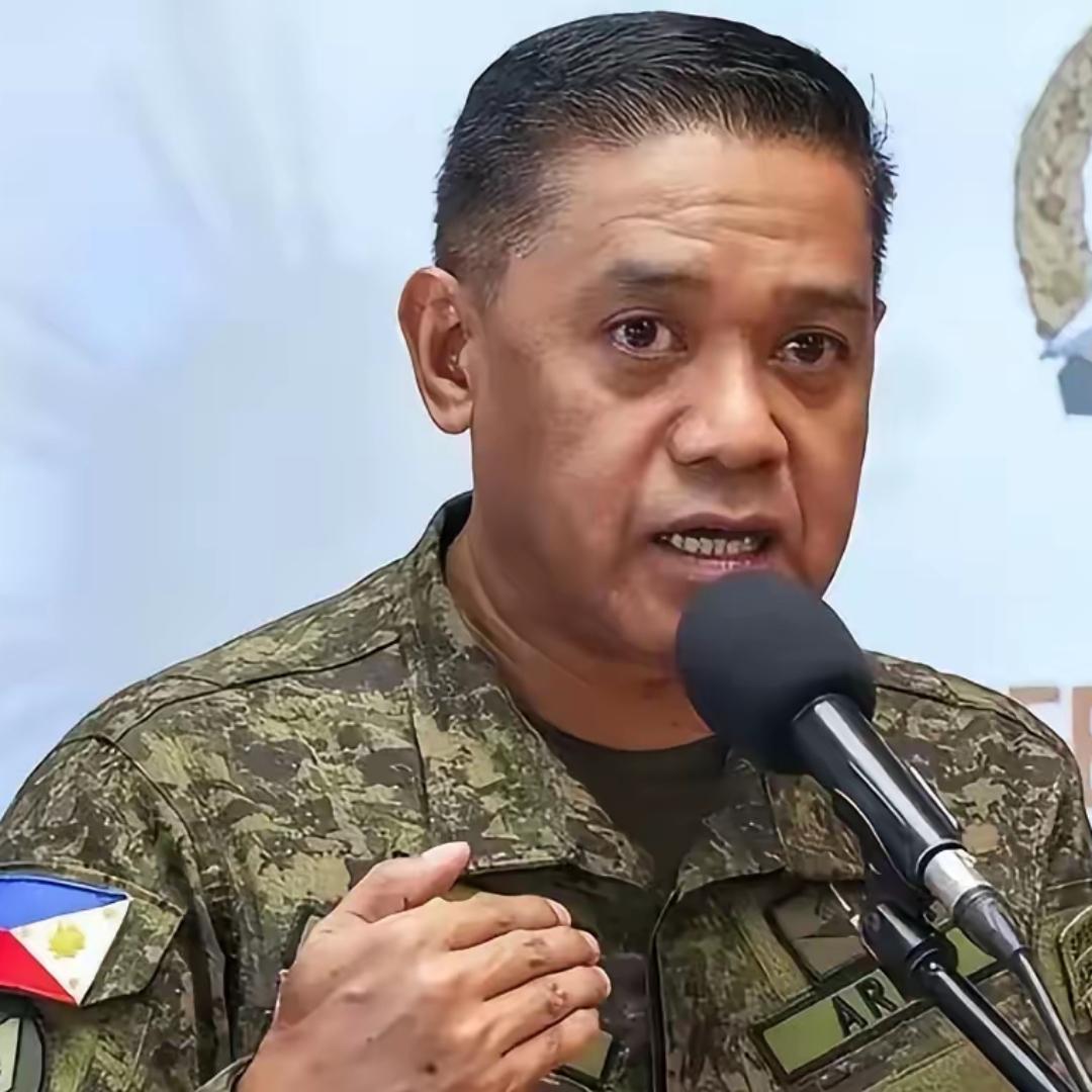 菲律宾人终于说实话了，他就是第二个乌克兰！菲律宾总参谋长布劳纳在一次发言中透露，