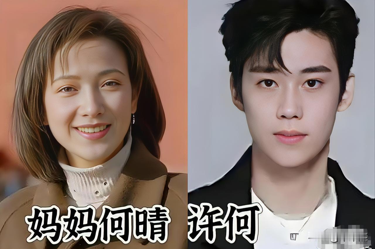 何晴的儿子许何安慰她说：您放心，儿子一定会好！一切也都会很好！因为虽然何晴走