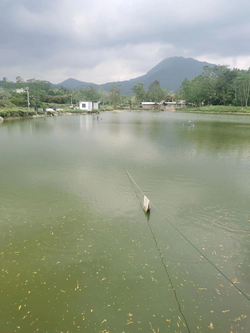 真是一个令人难过的新闻！4月22日，媒体报道，4月18日湖南省常德市澧县一对夫