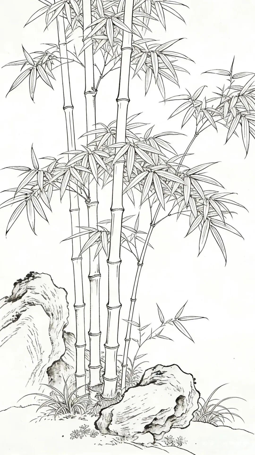 素材|竹报平安附白描绘画素材